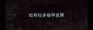 拉布拉多指甲发黑