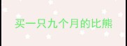 买一只九个月的比熊