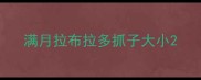 满月拉布拉多抓子大小