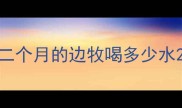 二个月的边牧喝多少水