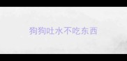 狗狗吐水不吃东西