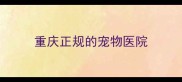 重庆正规的宠物医院