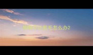 狗狗不让剪毛怎么办