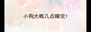 小狗大概几点睡觉