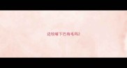 边牧嘴下巴有毛吗