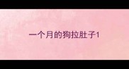 一个月的狗拉肚子
