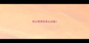 哈士奇贪吃怎么训练