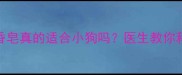 宠物洗澡安全指南香皂真的适合小狗吗医生教你科学清洁与护理全攻略