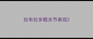 拉布拉多髋关节表现