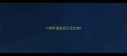 小狗打疫苗后几天生效