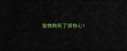 宠物狗死了很伤心