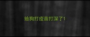 给狗打疫苗打深了