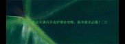 拉布拉多幼犬满月牙齿护理全攻略新手家长必看