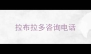 拉布拉多咨询电话