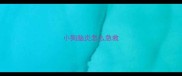小狗脑炎怎么急救