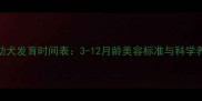 泰迪犬幼犬发育时间表3-12月龄美容标准与科学养护指南