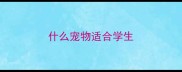 什么宠物适合学生