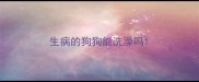 生病的狗狗能洗澡吗