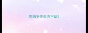 狗狗不吃东西不动