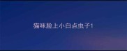 猫咪脸上小白点虫子