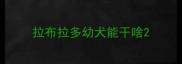 拉布拉多幼犬能干啥