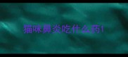 猫咪鼻炎吃什么药