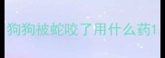 狗狗被蛇咬了用什么药