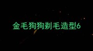 金毛狗狗剃毛造型6