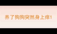 养了狗狗突然身上痒