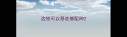 边牧可以那些够配种