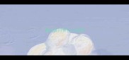 最近流行养什么宠物
