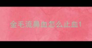 金毛流鼻血怎么止血