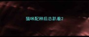 猫咪配种后总趴着