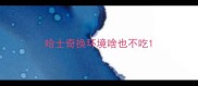 哈士奇换环境啥也不吃