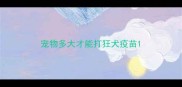 宠物多大才能打狂犬疫苗