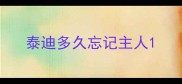 泰迪多久忘记主人