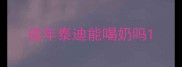 成年泰迪能喝奶吗