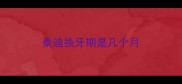 泰迪换牙期是几个月