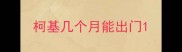 柯基几个月能出门