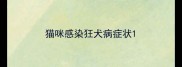 猫咪感染狂犬病症状