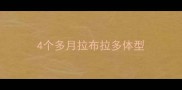 4个多月拉布拉多体型
