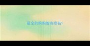 最全的狗狗智商排名