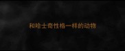 和哈士奇性格一样的动物