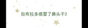 拉布拉多感冒了鼻头干