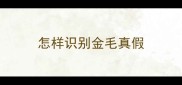 怎样识别金毛真假
