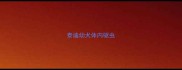 泰迪幼犬体内驱虫