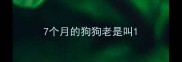 7个月的狗狗老是叫