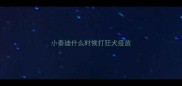 小泰迪什么时候打狂犬疫苗