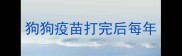 狗狗疫苗打完后每年