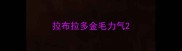 拉布拉多金毛力气
